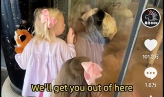 丫丫回国先到上海检疫