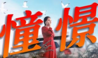 出走的决心电影免费观看