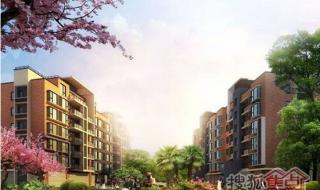 南京树人国际学校宿迁分校