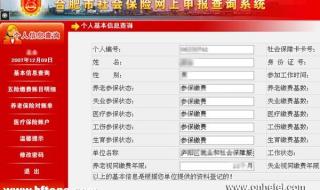 社保查询个人账户缴费明细