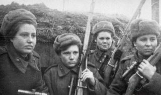 都是爱情惹的祸剧情介绍