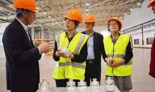 中国玻纤股份有限公司 中国玻纤股份有限公司