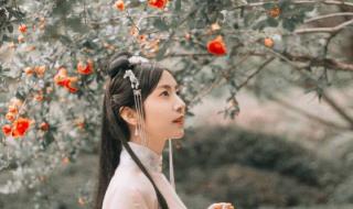 西安led显示屏租赁